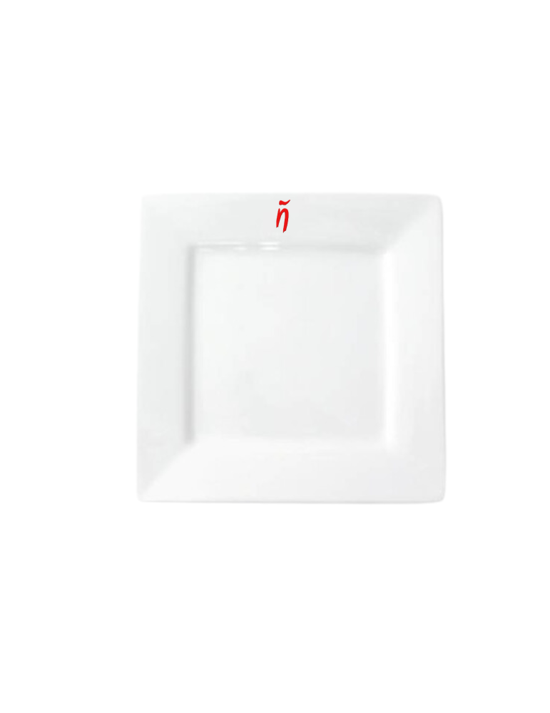 N SQUARE DINNER PLATE 30CM