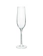 EVA CHAMPAGNE FLUTE 235ML , SET OF 6